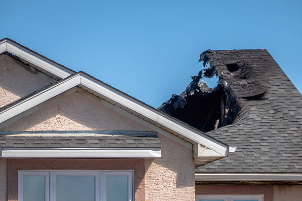 Top rated local Odor Removal specialists in Darby, PA